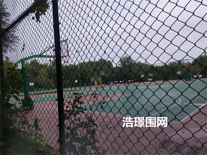 球場圍欄網