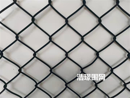 球場圍欄網(wǎng)