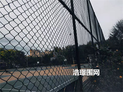 球場(chǎng)圍網(wǎng)護(hù)欄網(wǎng)